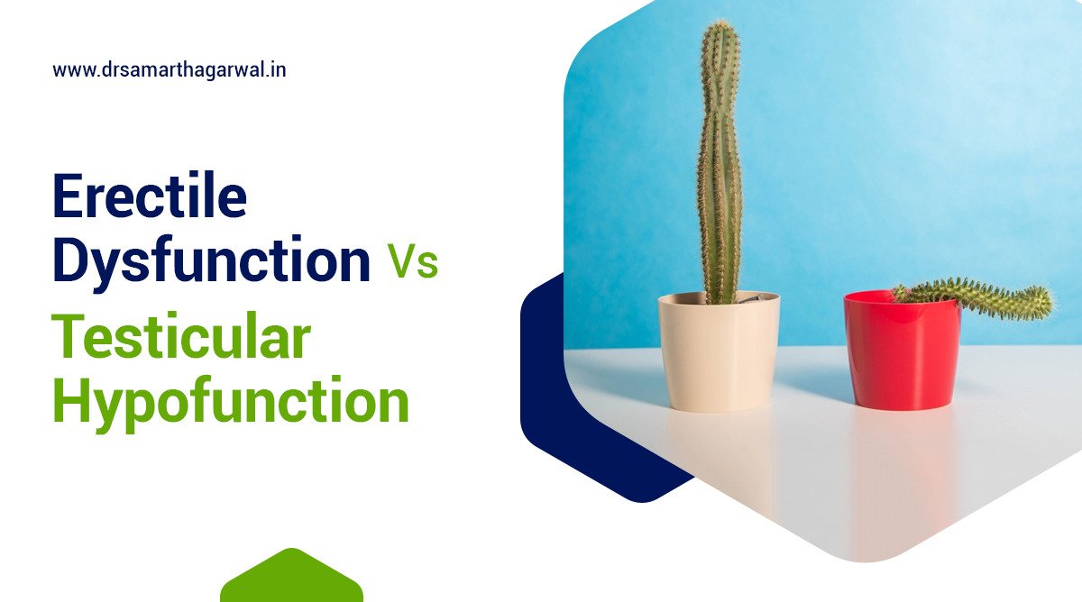 Erectile Dysfunction vs Testicular Hypofunction